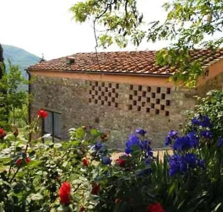 Oliva * Bagno a Ripoli