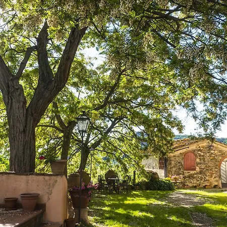 Oliva Alloggio per agriturismo