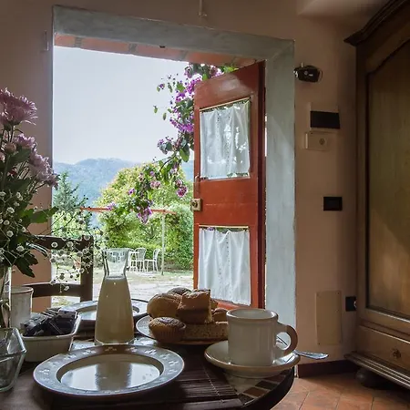 Oliva Alloggio per agriturismo Bagno a Ripoli