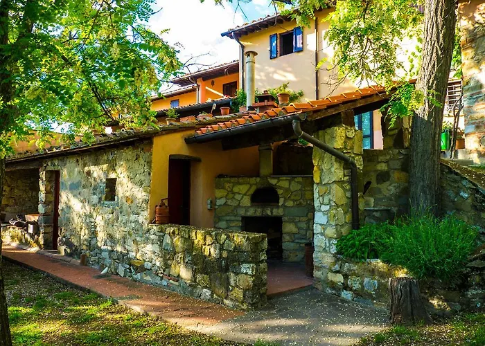 Oliva * 바뇨아리폴리