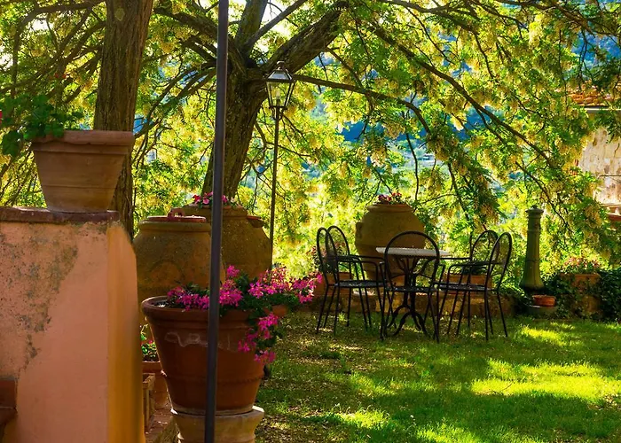 팜스테이 Oliva *