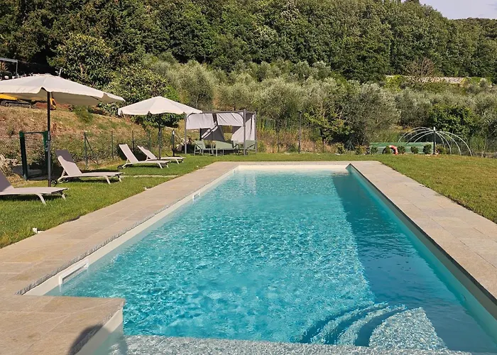 팜스테이 Oliva *