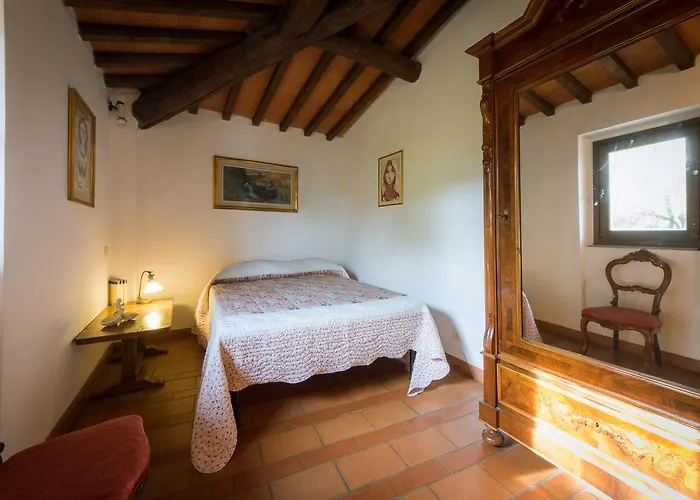 Oliva * 바뇨아리폴리