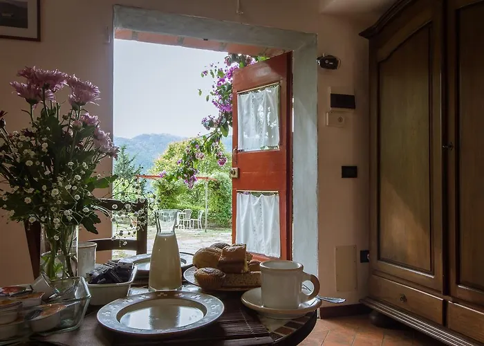 Oliva 팜스테이 바뇨아리폴리