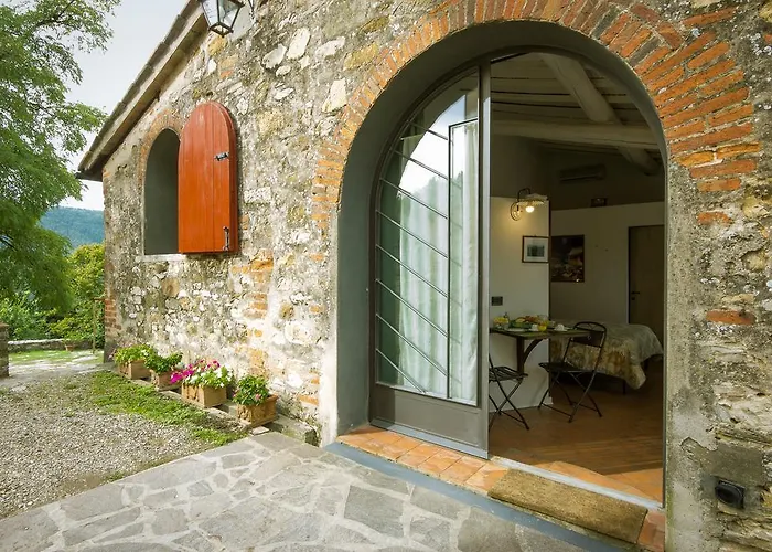 Oliva * 바뇨아리폴리