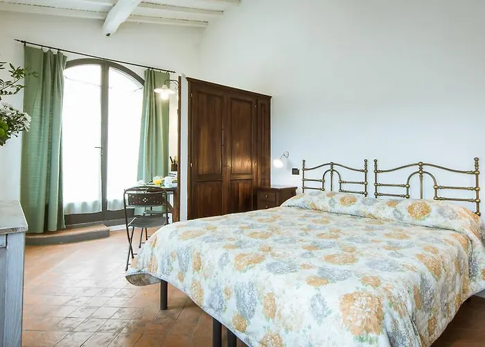 Oliva * 바뇨아리폴리